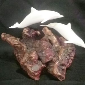 John Perry 2 Dolphins on Driftwood